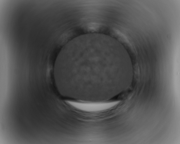 X0000094230225200711161916