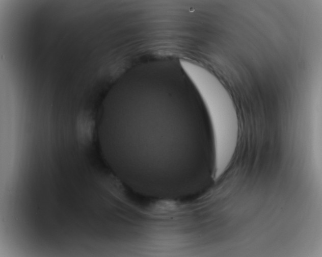 X0000094230227200711161916