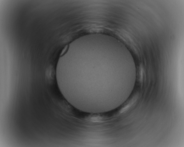 X0000094230228200711161916
