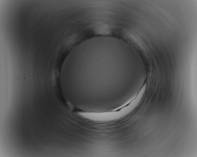 X0000094230229200711161916