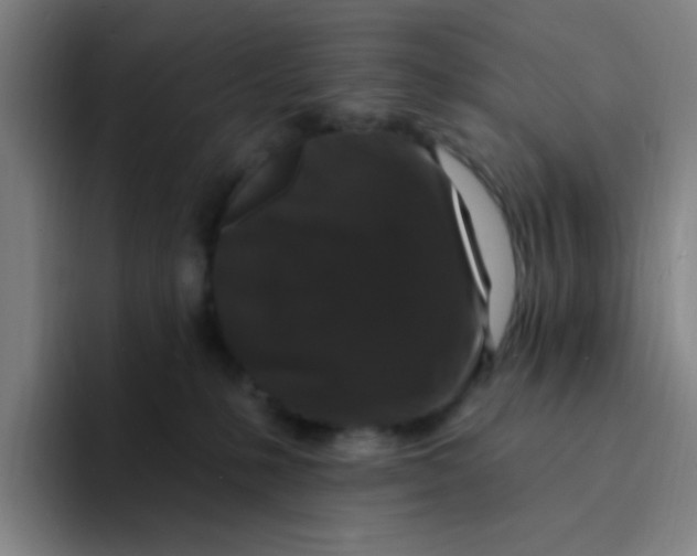 X0000094230231200711161915