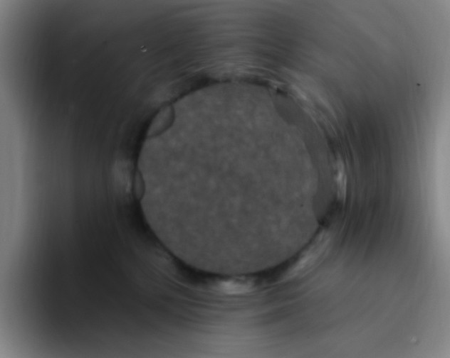 X0000094230232200711161915
