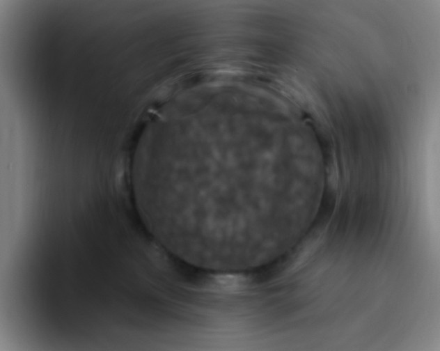 X0000094230233200711161915
