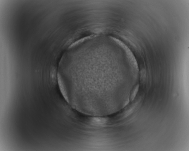 X0000094230234200711161915