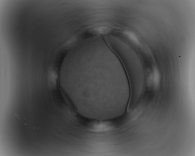 X0000094230235200711161915