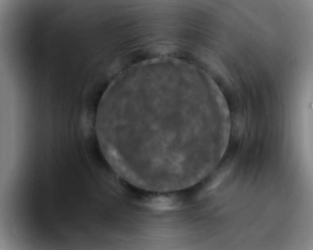 X0000094230236200711161915