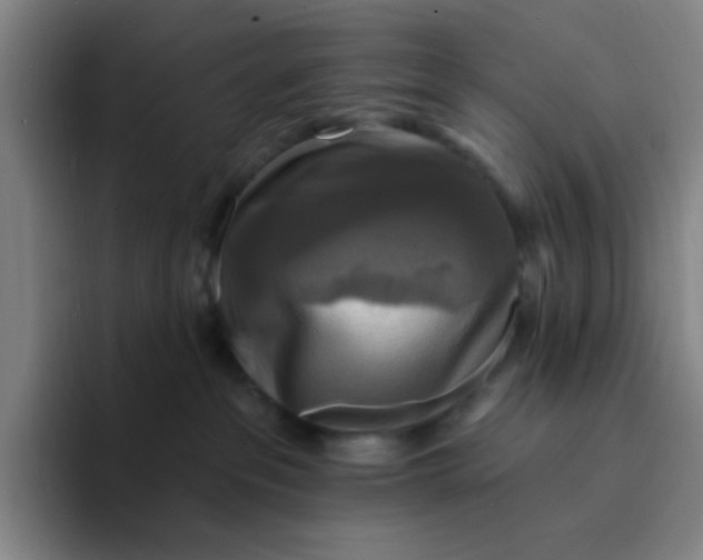 X0000094230237200711161915
