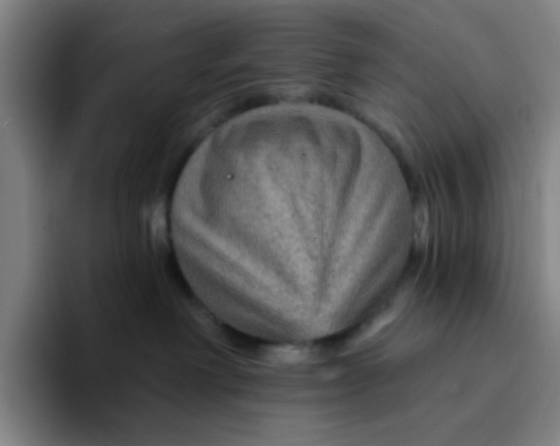 X0000094230238200711161915
