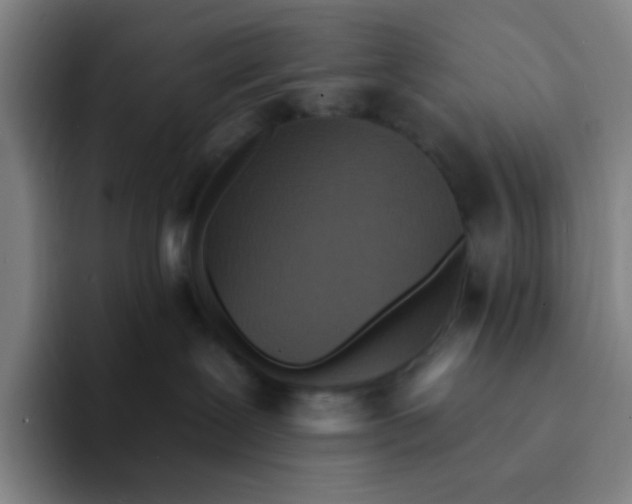 X0000094230239200711161915
