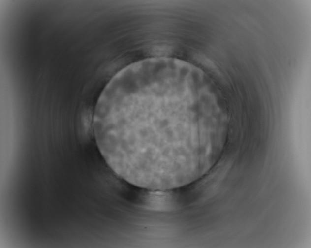X0000094230240200711161915
