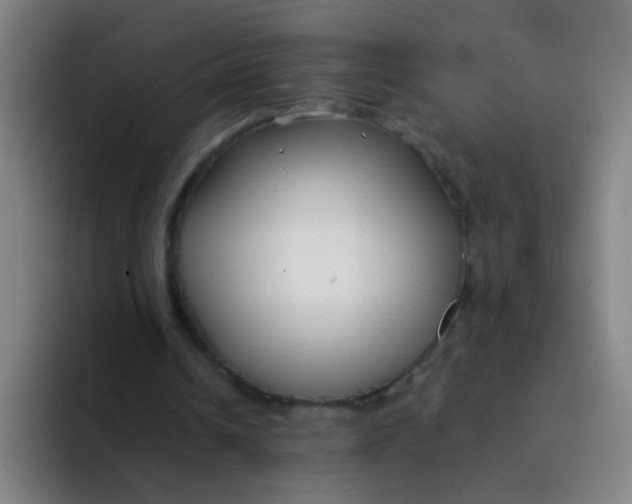 X0000094230242200711161915