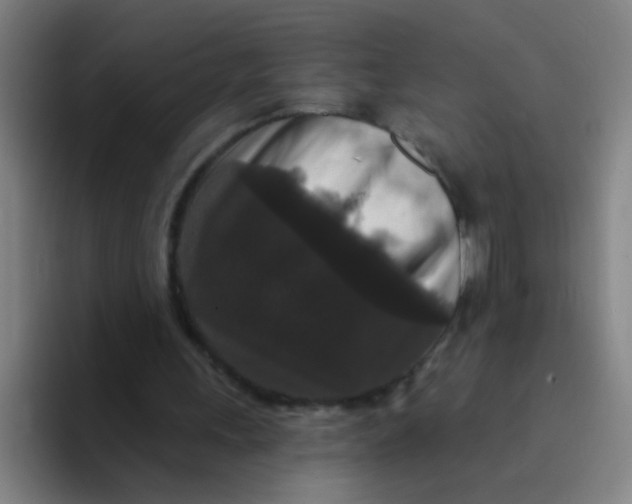 X0000094230243200711161915