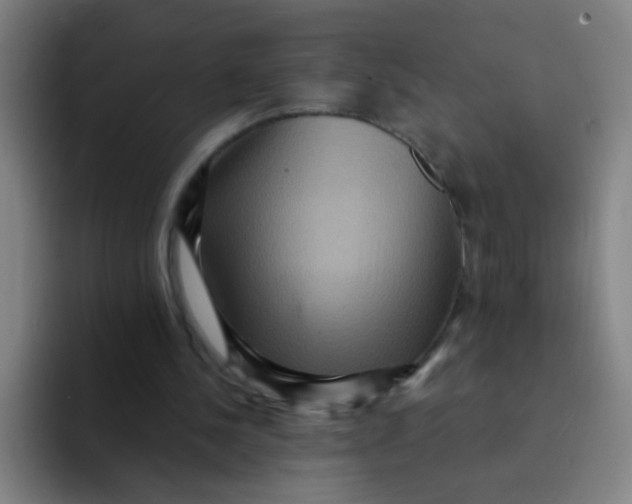 X0000094230244200711161915