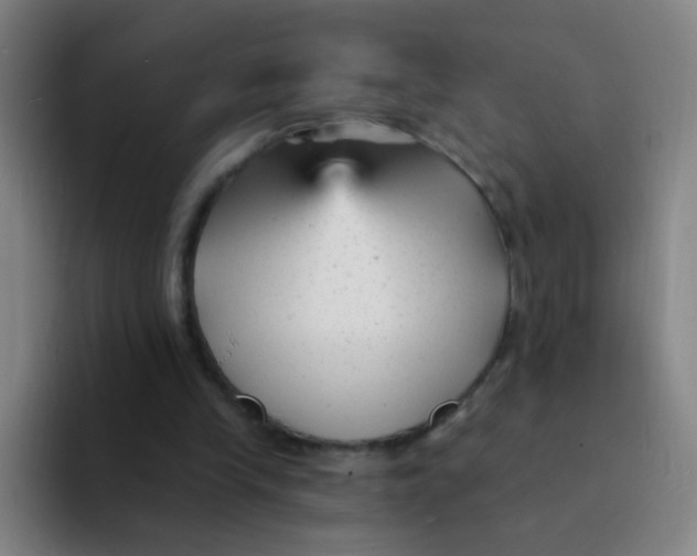 X0000094230245200711161915