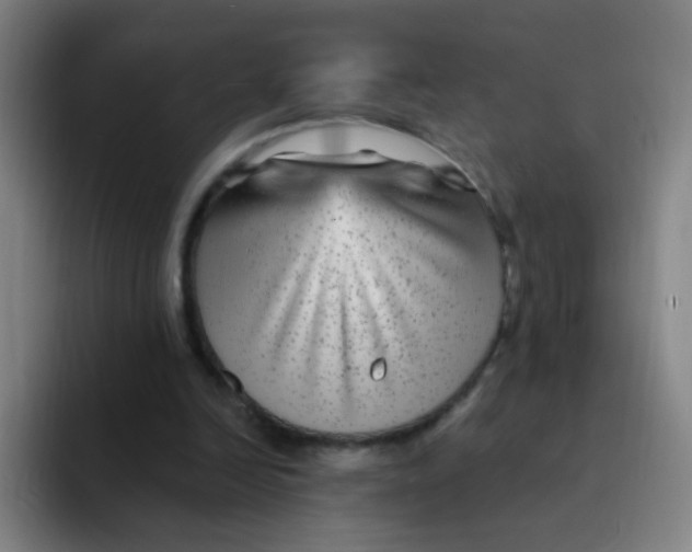 X0000094230246200711161915