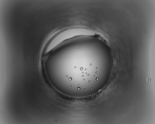 X0000094230248200711161915