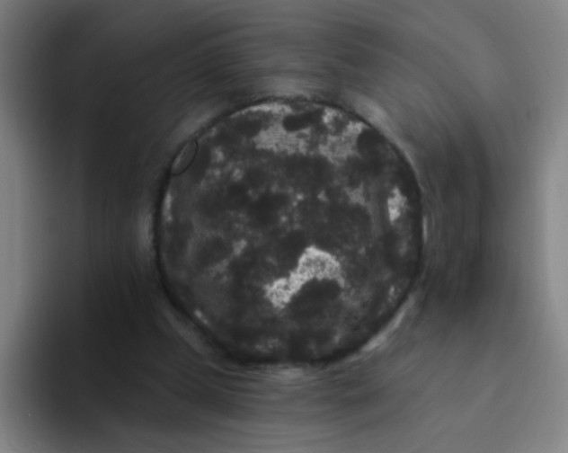 X0000094230249200711161915