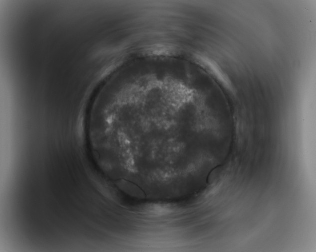 X0000094230250200711161915