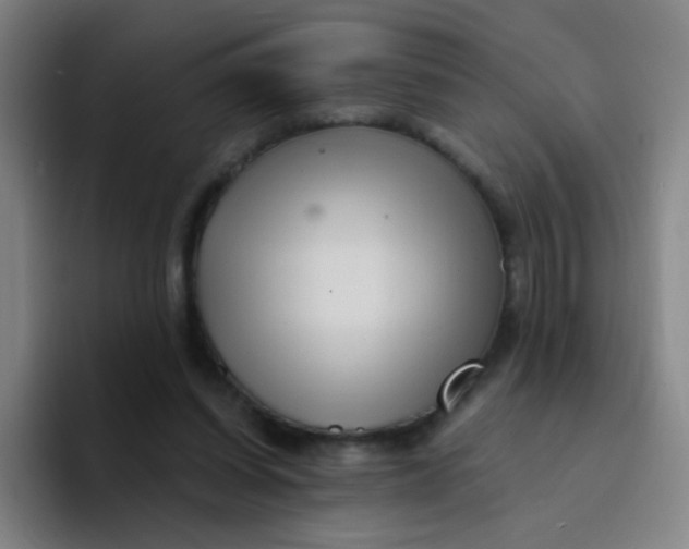X0000094230254200711161915