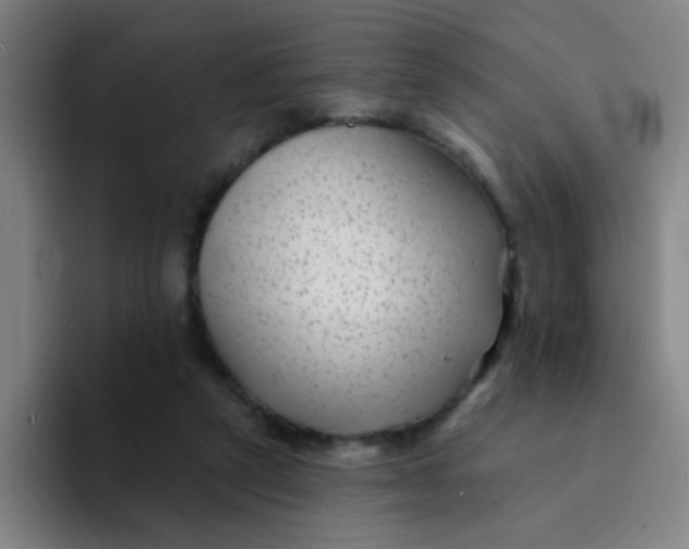 X0000094230257200711161915