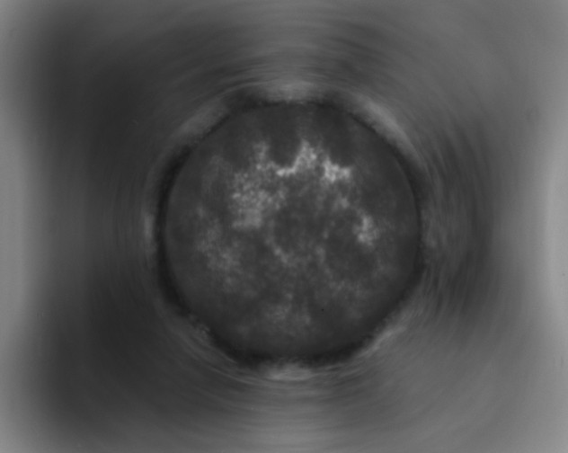 X0000094230258200711161915
