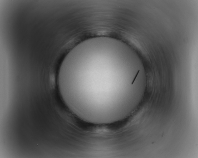 X0000094230262200711161915