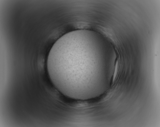 X0000094230263200711161915