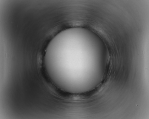 X0000094230264200711161915