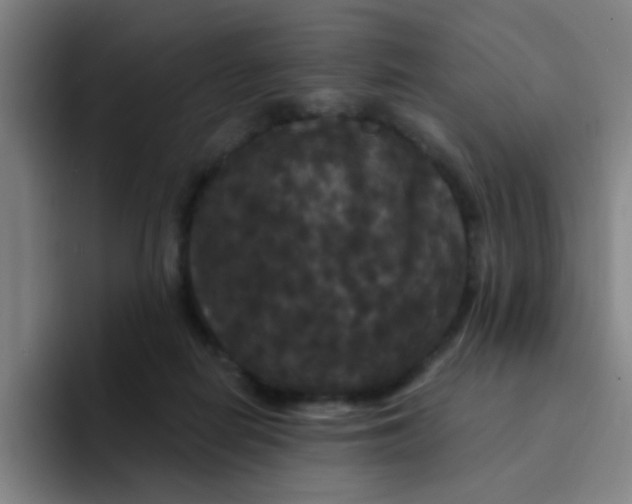 X0000094230266200711161915