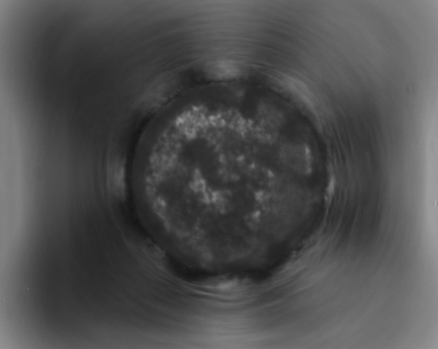 X0000094230267200711161915