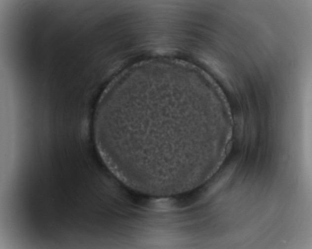 X0000094230269200711161915