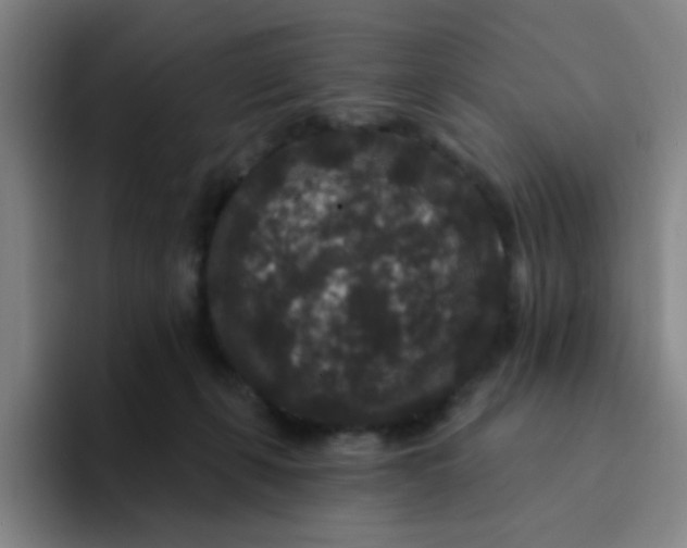 X0000094230271200711161915