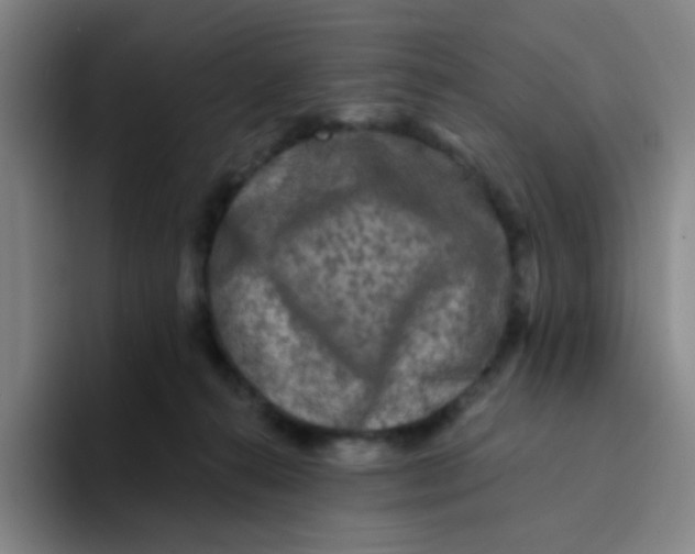 X0000094230272200711161915