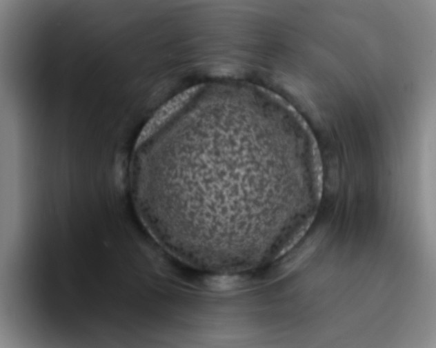 X0000094230273200711161915