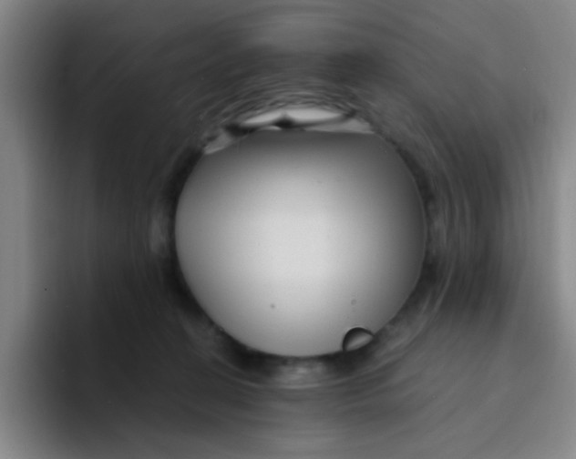 X0000094230274200711161915