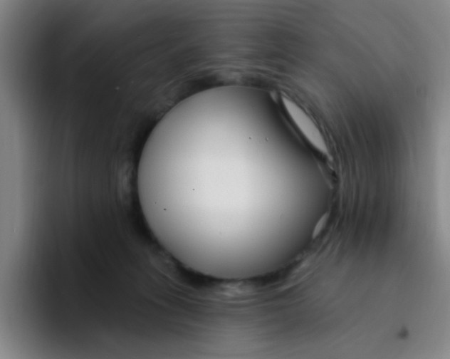 X0000094230275200711161915