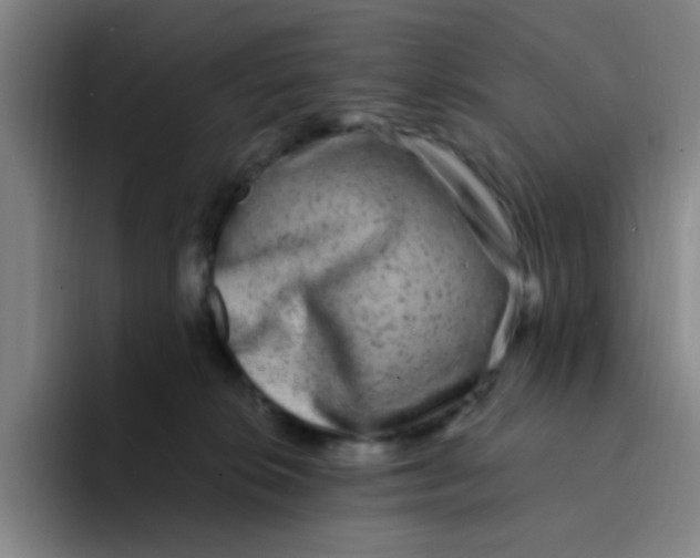 X0000094230276200711161915