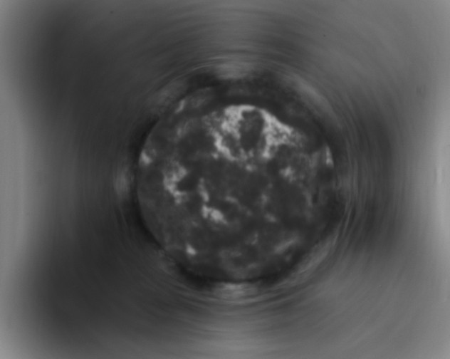 X0000094230277200711161915