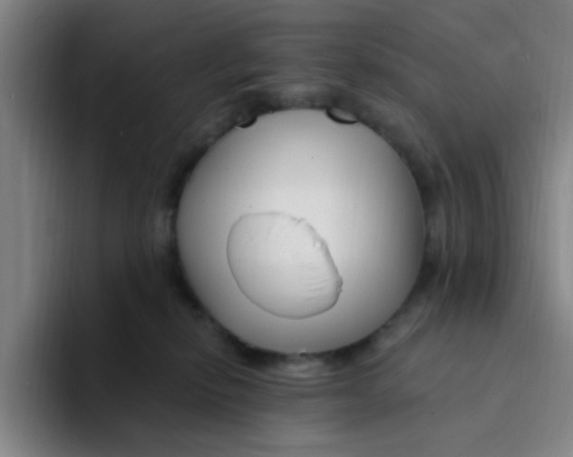 X0000094230278200711161915