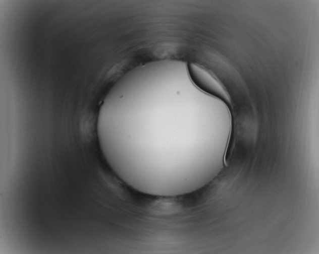 X0000094230280200711161915