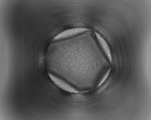 X0000094230281200711161915