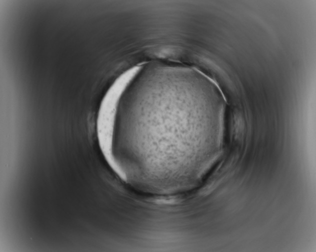 X0000094230284200711161915