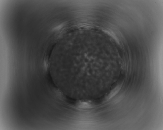 X0000094230285200711161915