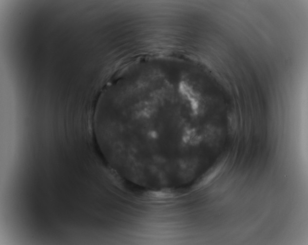 X0000094230286200711161915