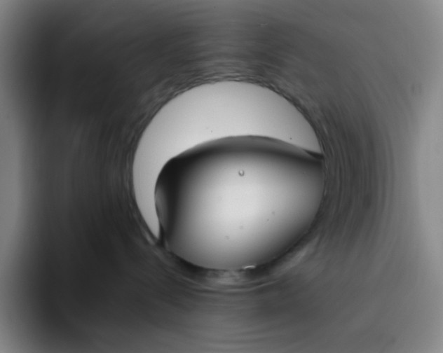 X0000094230288200711161915