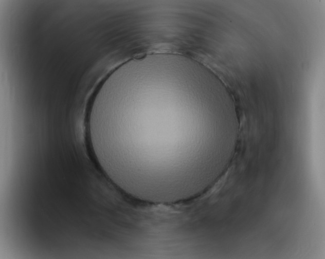 X0000094230290200711161915