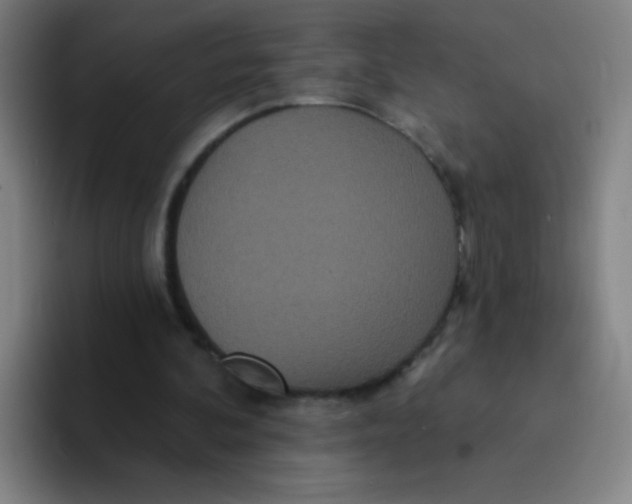 X0000094230292200711161915