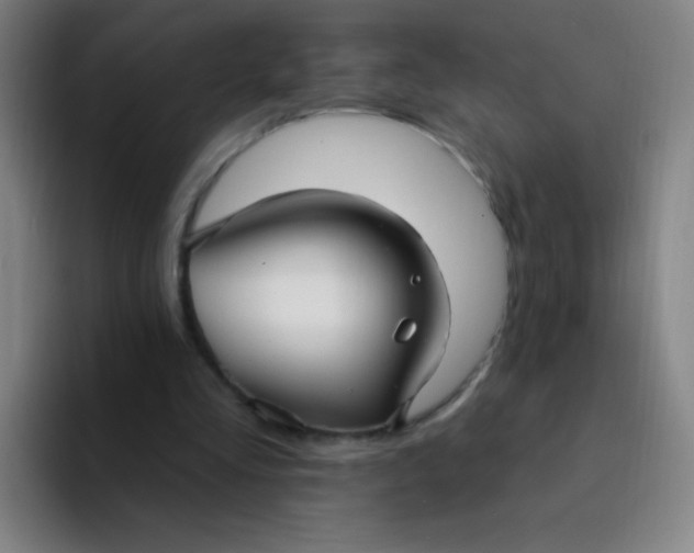 X0000094230293200711161915
