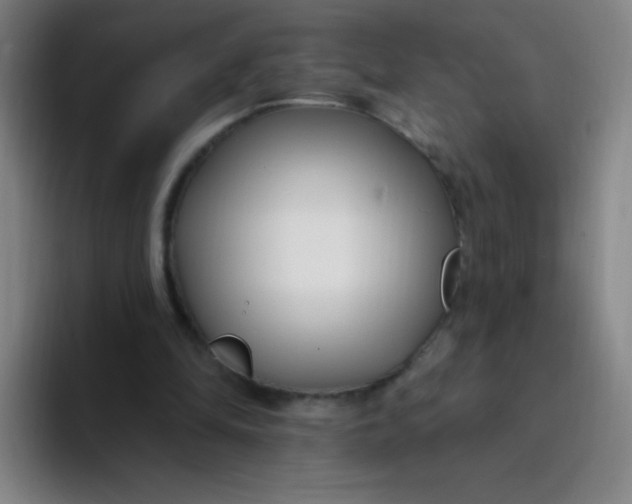 X0000094230294200711161915