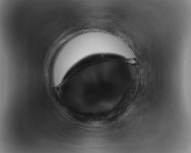 X0000094230295200711161915